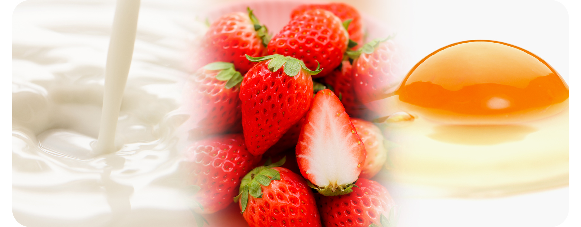 アラモード・キムラ